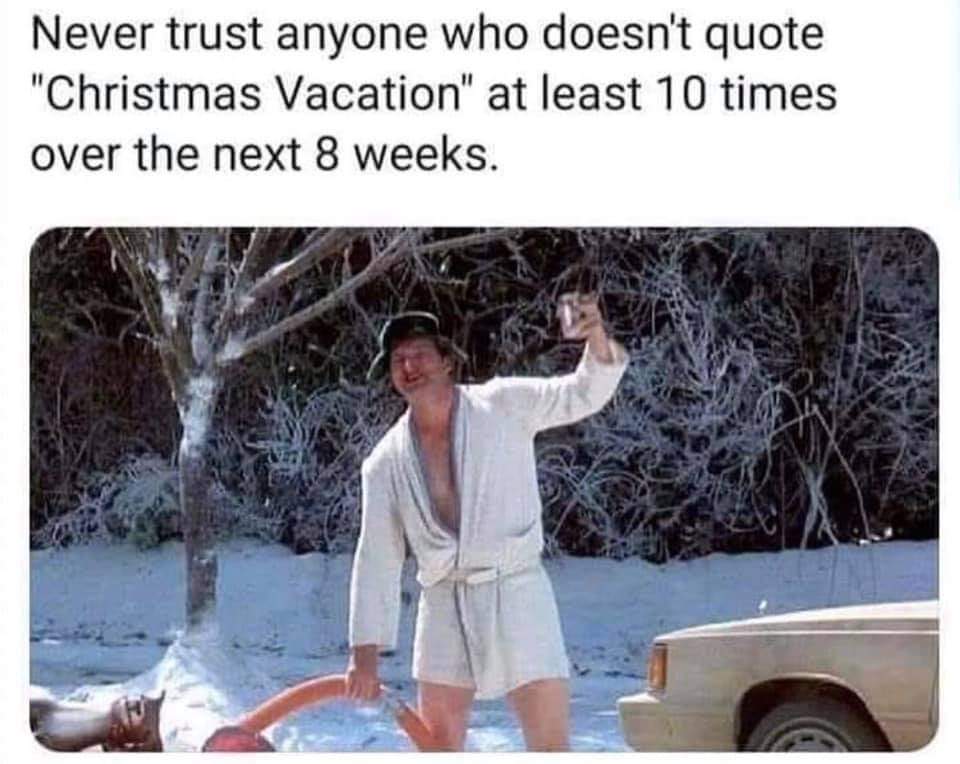 The Funniest Quotes From National Lampoon's Christmas Vacation