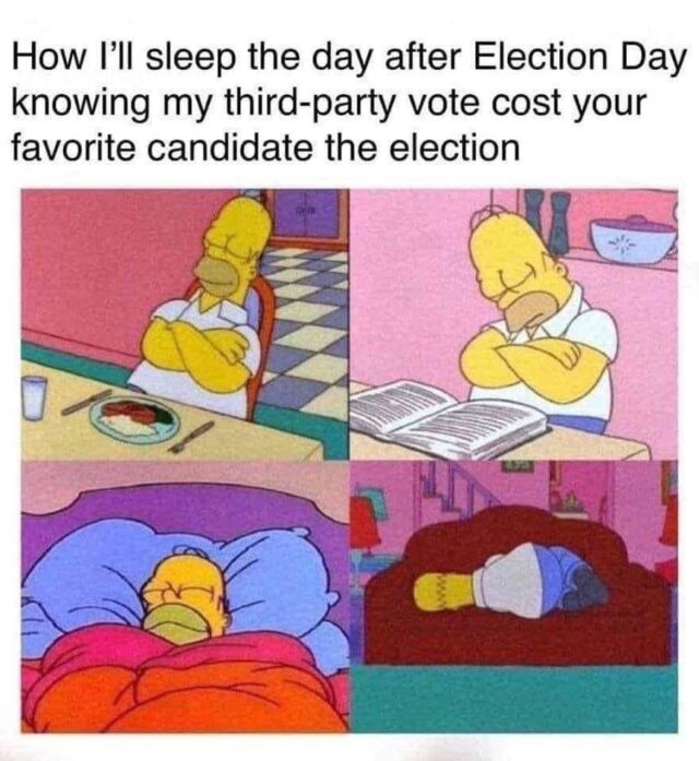 A Collection Of The Best Election Day Memes (2020)