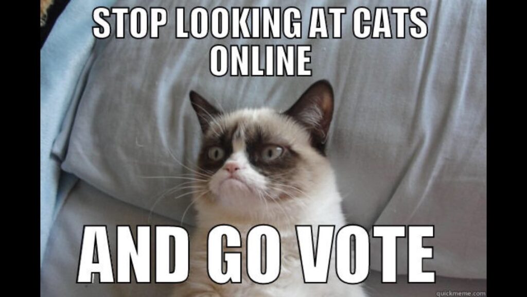 [TOP-SITE] Votez pour MCE ! Election-day-meme-18-1024x577