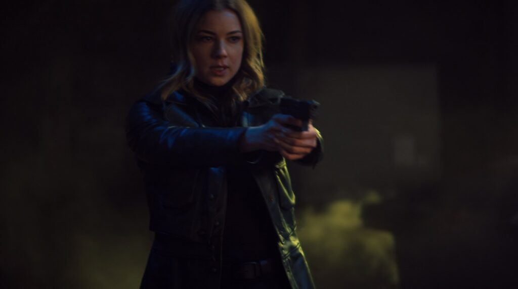 falcon winter soldier sharon carter