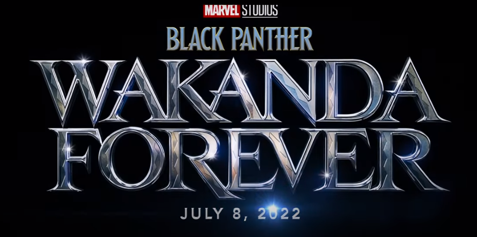 black panther wakanda forever