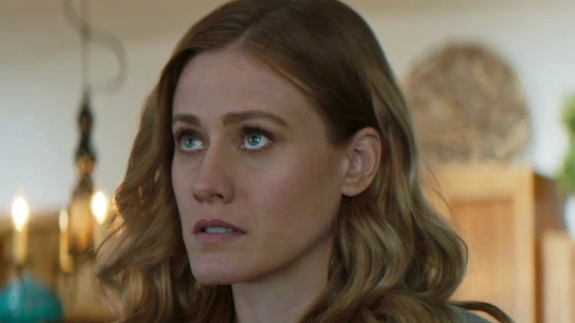 some of our stallions