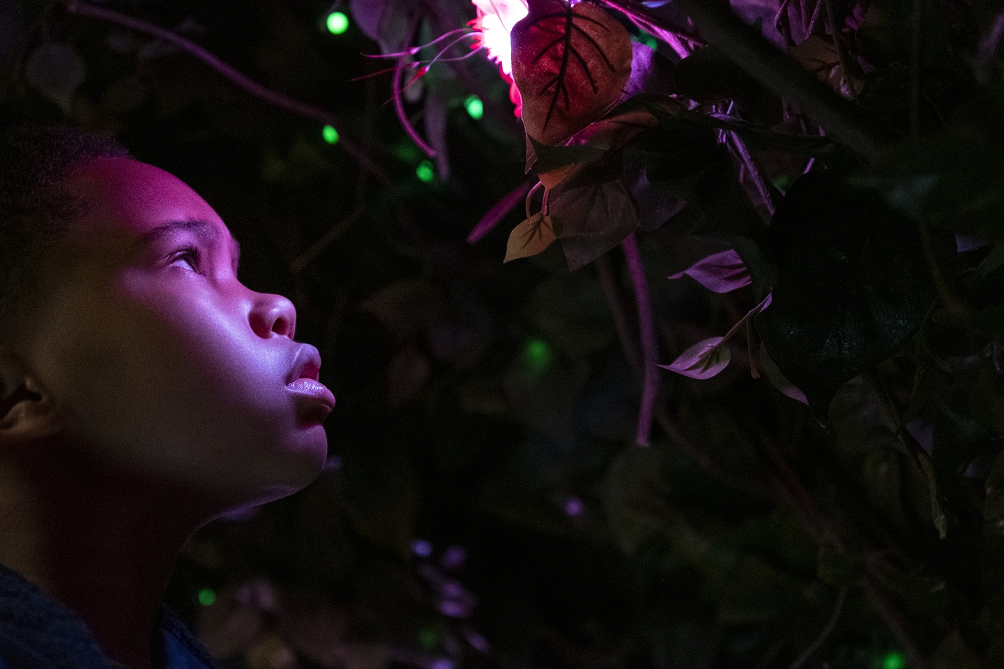 Raising Dion Season 2 Review: Bigger & Better raising dion season 2 review