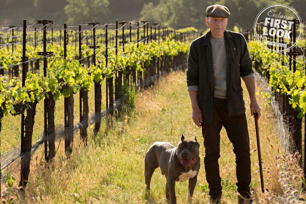 Star Trek: Picard Season 1 Recap
