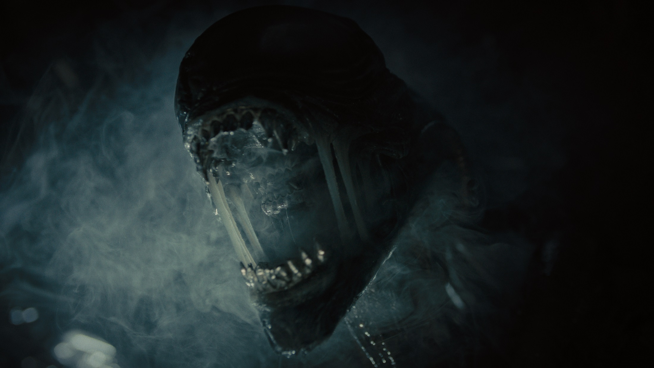 Alien: Romulus Review: Pays Homage To Original Alien Films Alien: Romulus Review