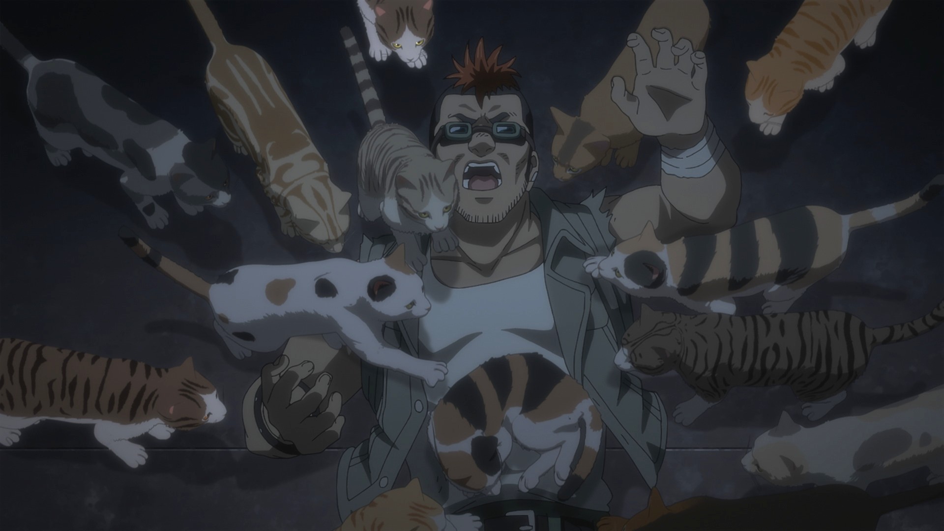 Nyaight of the Living Cat Cast Shares What They Love About the Series