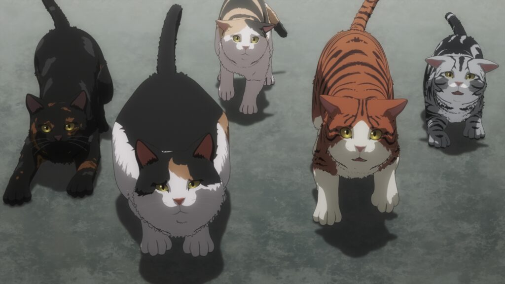 Nyaight of the Living Cat Cast Shares What They Love About the Series