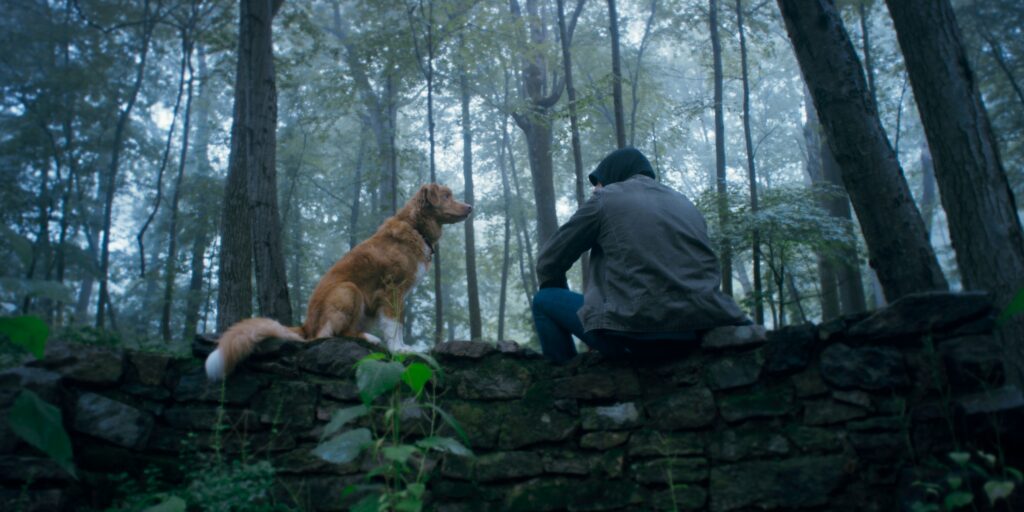 Good Boy Review