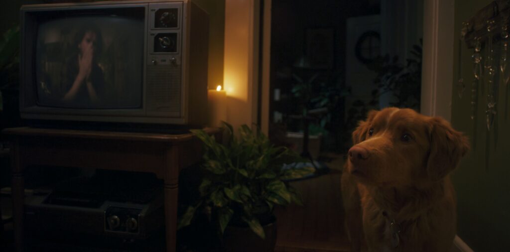 Good Boy Review