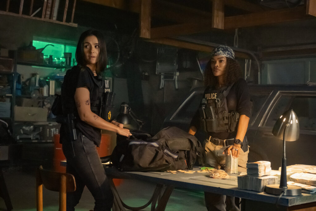 The RIP Movie review