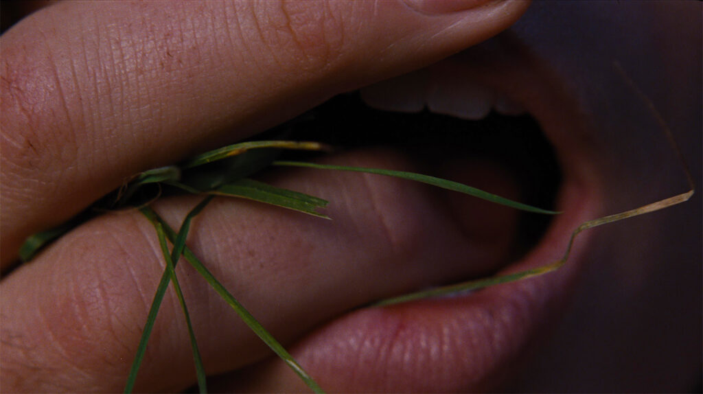 Emerald Fennell’s Wuthering Heights Is a Sultry Masterpiece