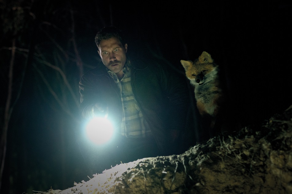 The Fox sxsw review