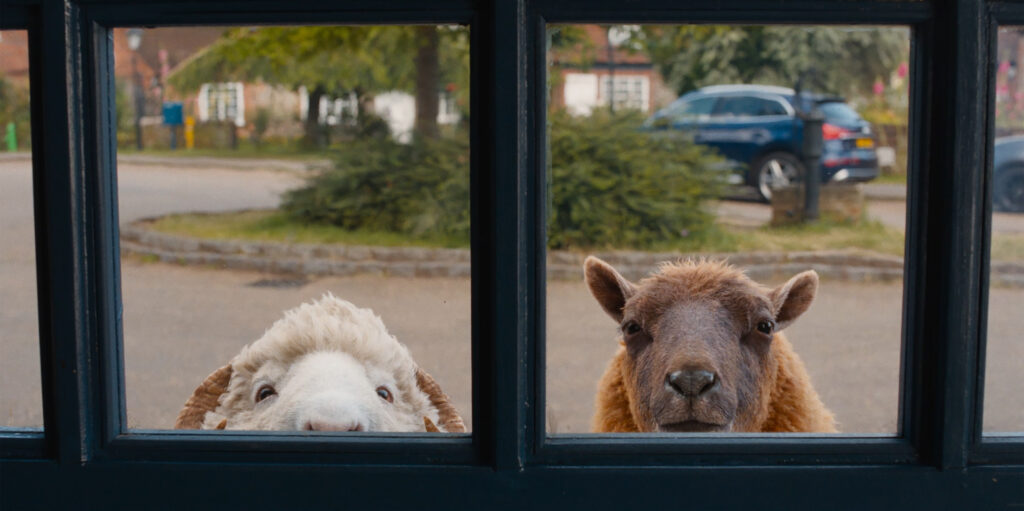 The Sheep Detectives Review