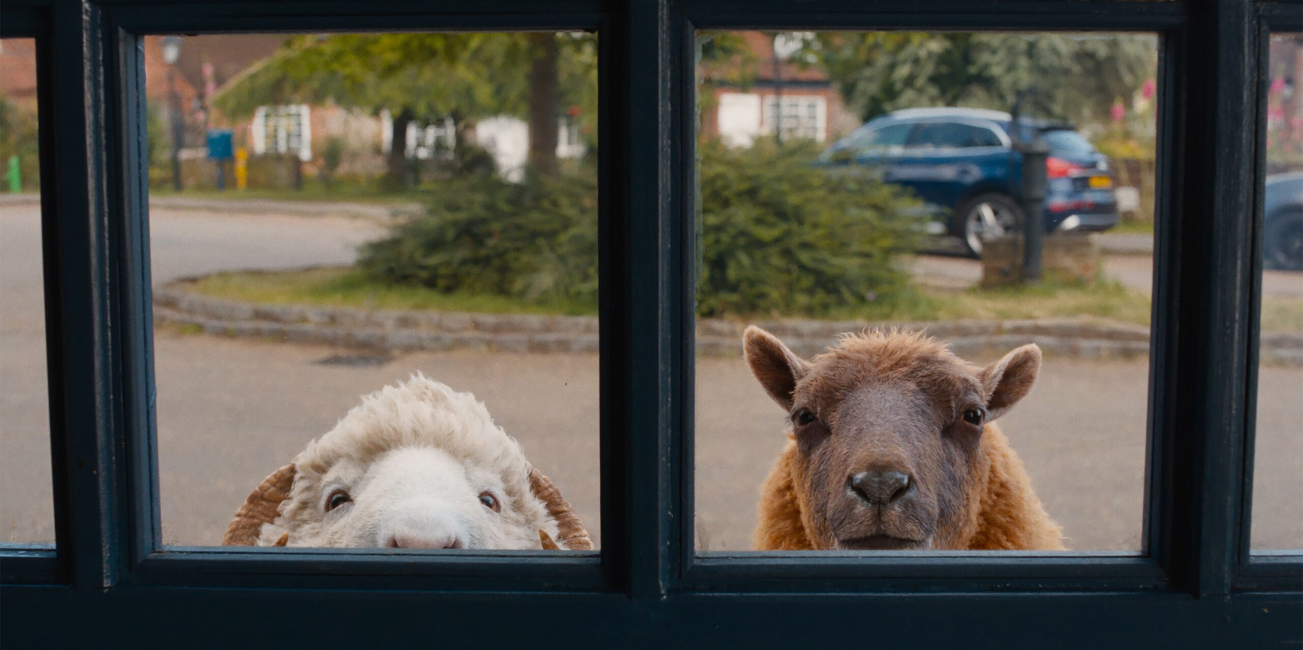 The Sheep Detectives Review