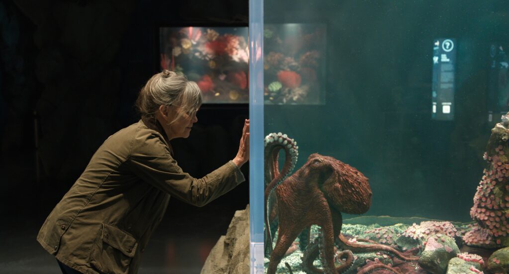 "An Homage to Sea Creatures": Remarkably Bright Creatures Red Carpet Interviews