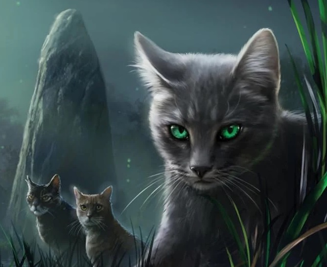 New Animated TV Series ‘Warrior Cats’ Lands At Disney New Animated TV Series ‘Warrior Cats’ Lands At Disney+